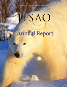 2013 Annual Report cover