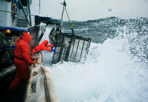Crab fishing in the Bering Sea