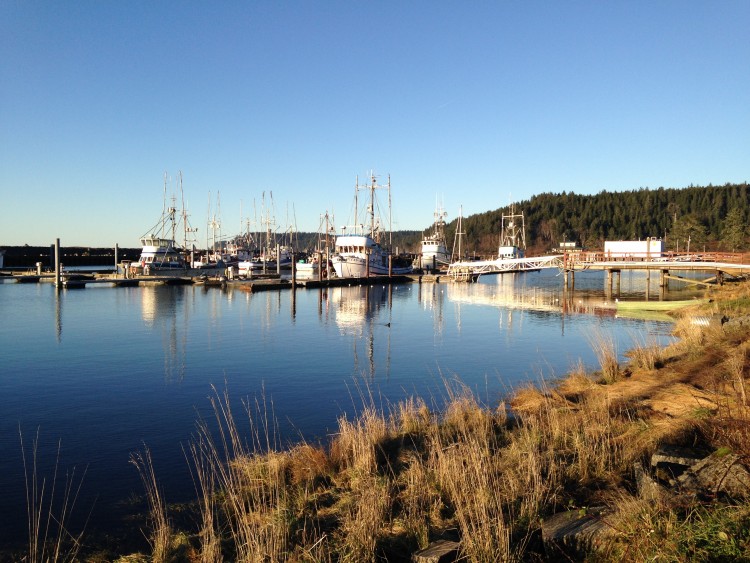 Fishing boats in Quileute Harbor Marina