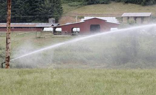 Sprinkler shoots water over field in Western Washington