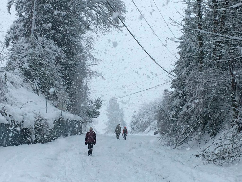 Snow in Olympia, WA