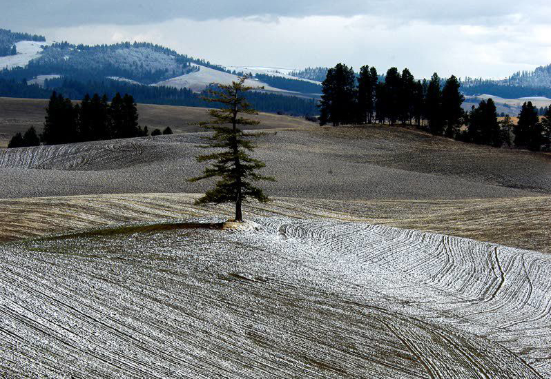 A farm in winter dusted with snow