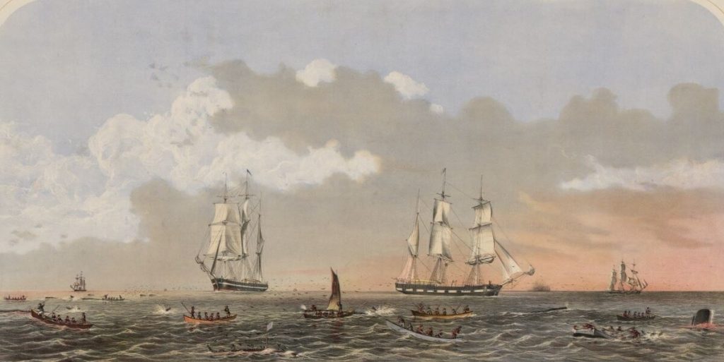 Painting of Sperm whaling activities