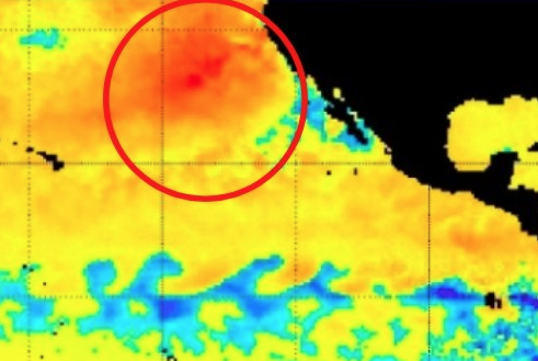 map showing the new blob