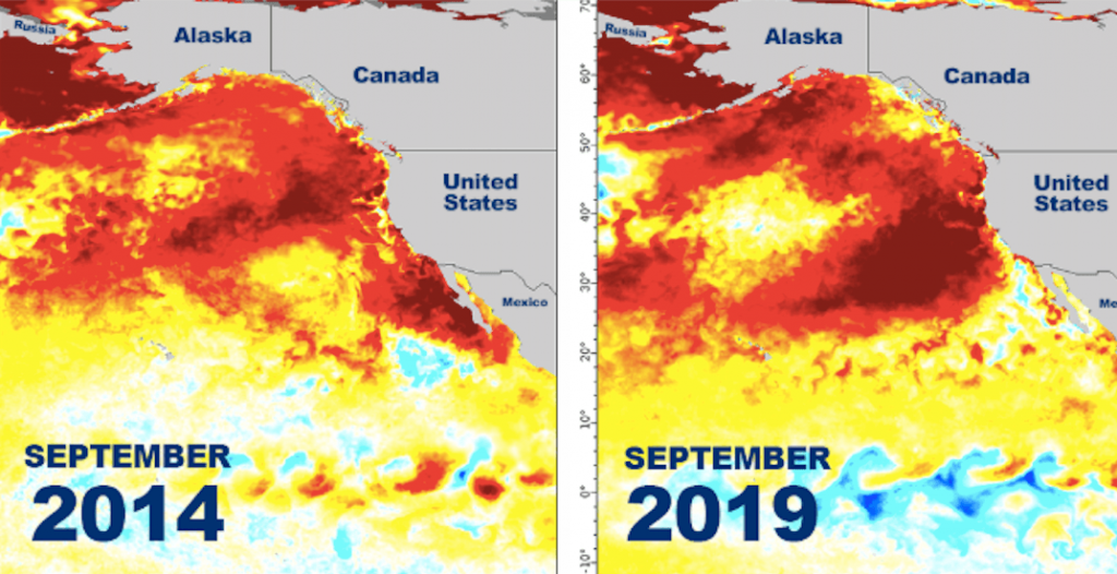 Maps comparing Blobs in 2014 and 2019