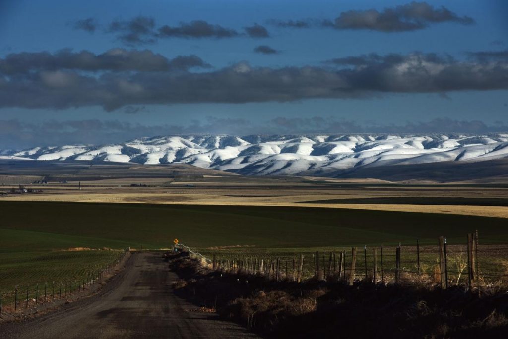 Farm road with snow covered hills in the background