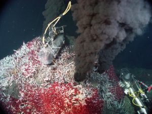 Dark gas venting at bottom of the ocean