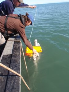 Manolo reaching into water for mooring
