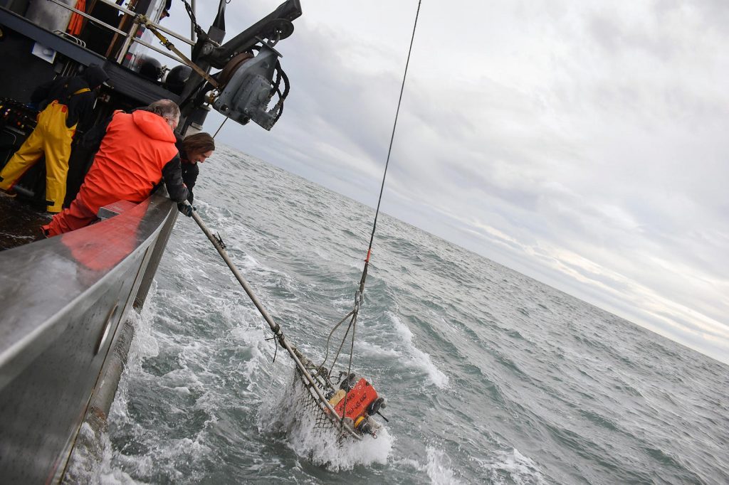 Researchers pulling equipment out of water onto ship