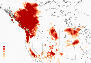 A map showing a heatwave in the Pacific Northwest.