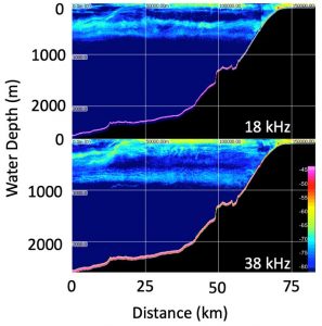 A figure showing water depth.