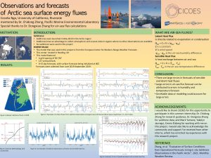 Cecelia's research poster