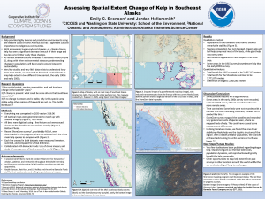 Emily's research poster