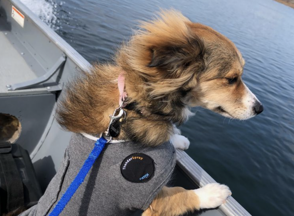Charlie riding boat on Columbia River