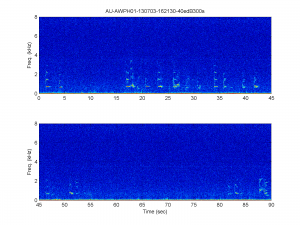 A figure demonstrating whale audio.