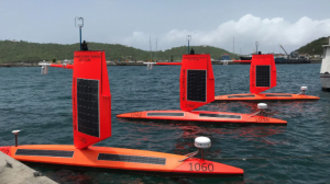 Three saildrones near the shore.