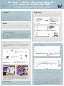 Bailee's research poster