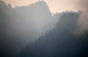 An artistic landscape photo, with foggy mountains and trees.