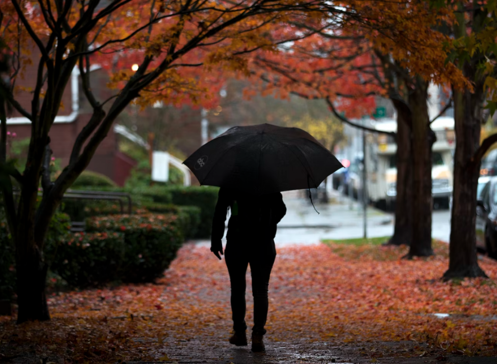 man walking with umbrella on street with fallen leaves