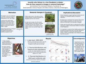 Anna's research poster
