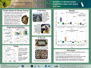 Katie's research poster