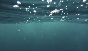 Underwater close-up of bubbles.