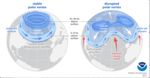 The figure compares a stable polar vortex to a disrupted polar vortex. The stable polar vortex keeps cold air contained in the arctic via a polar jet stream that is farther north and maintains a strong west-to-east flow. The disrupted polar vortex enables cold air to move further south due to a wavy polar jet stream.