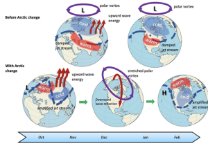 A figure comparing the evolution of the polar vortex before and after Arctic change. Before Arctic change, cold air remained further north. After Arctic change, cold air moved further south.