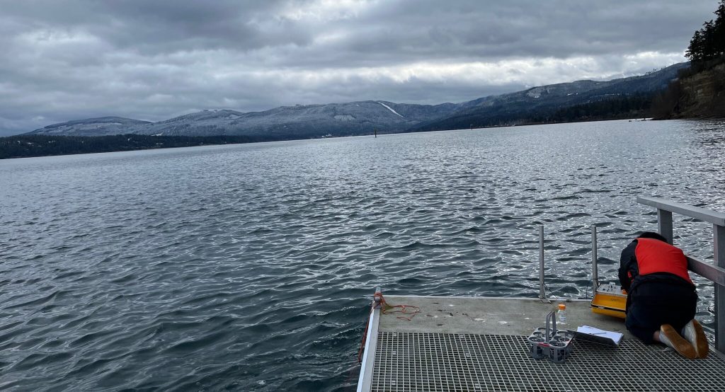 A kneeling researcher takes measurements on a dock in Sequim Bay, Washington.