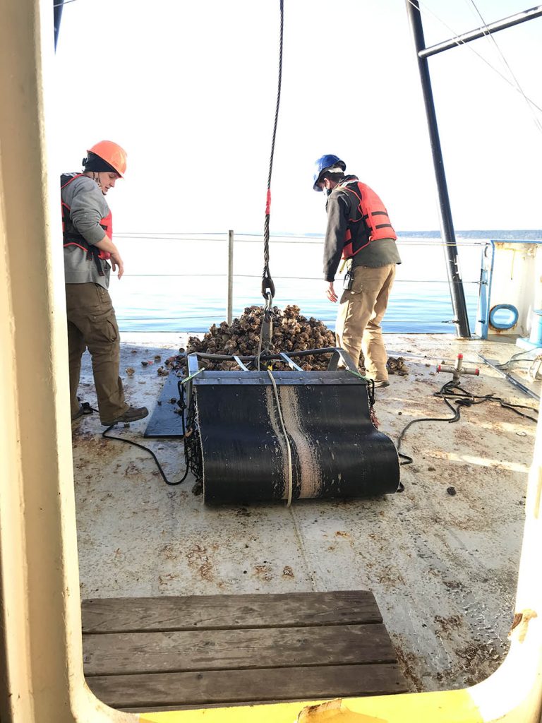 Two crew members dressed in safety equipment looking at freshley dredged material from the seafloor, which is heaped upon the deck of the R/V Rachel Carson.