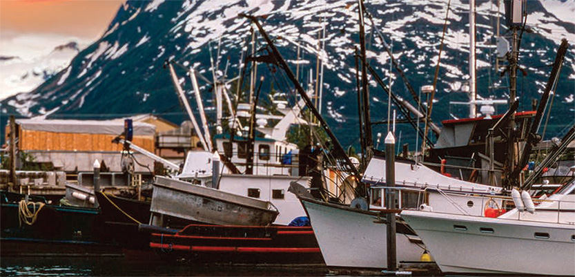 Five or more fishing boats in a harbor, with mountains in the background.