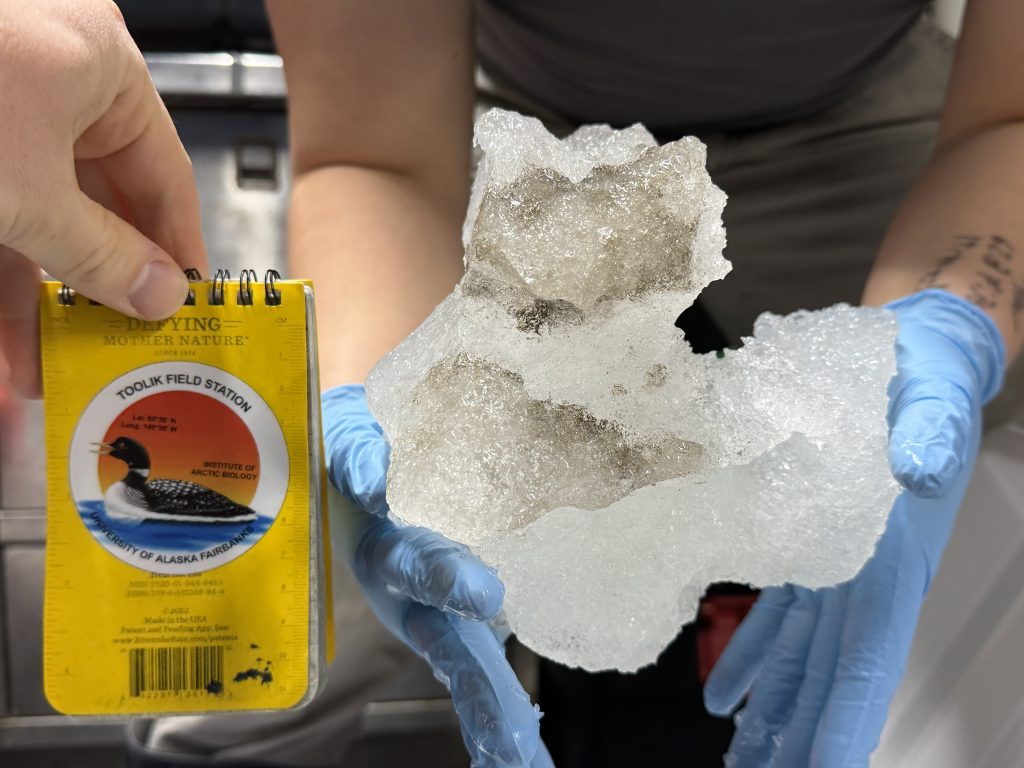 Close-up of a chunk of ice held by a researcher. 