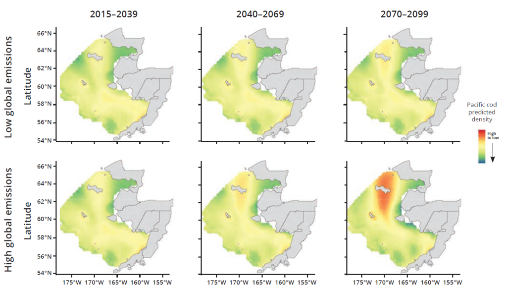 A figure showing six different maps of western Alaska. There is less cod density in the low-emissions scenarios.